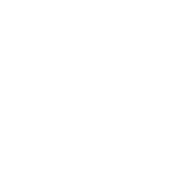 Taichi Warwick Logo